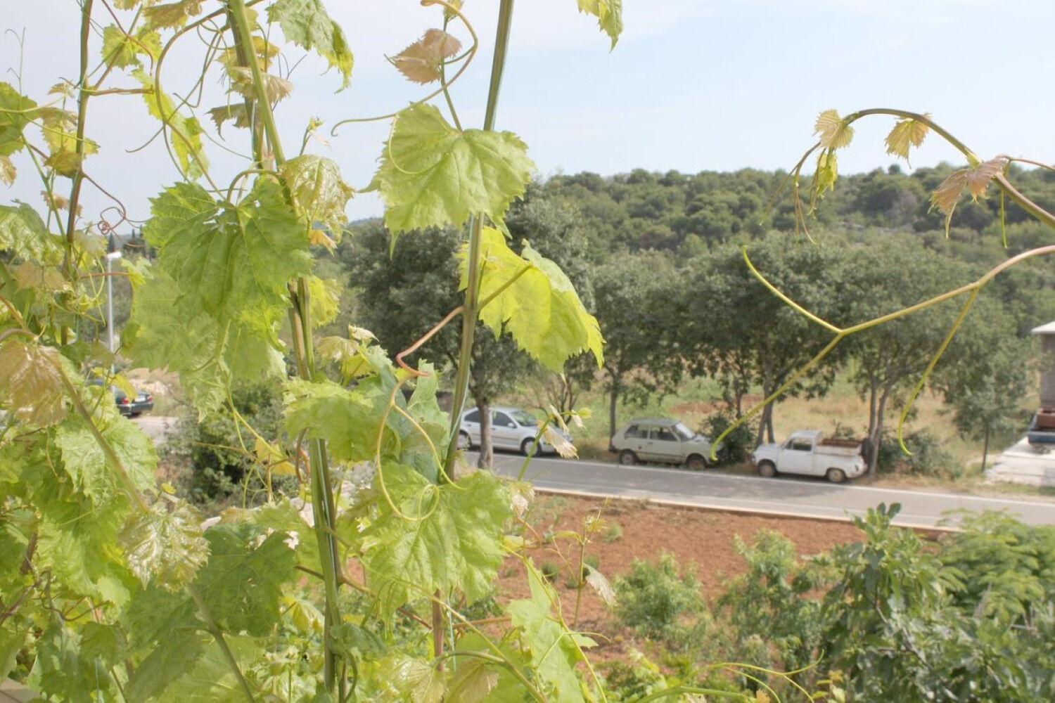 Apartments Slavica - Free Parking Jezera Bagian luar foto
